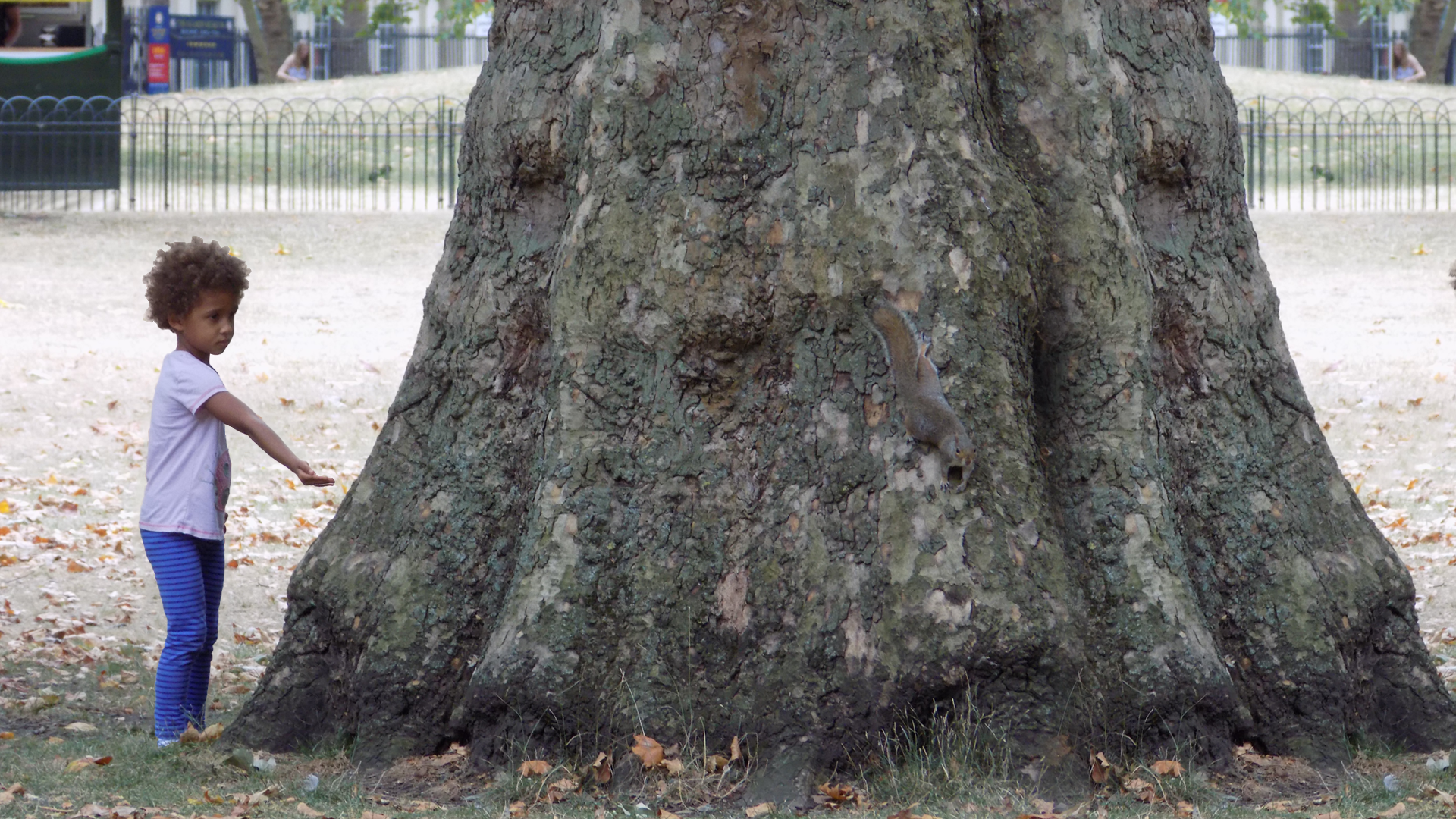aparktree