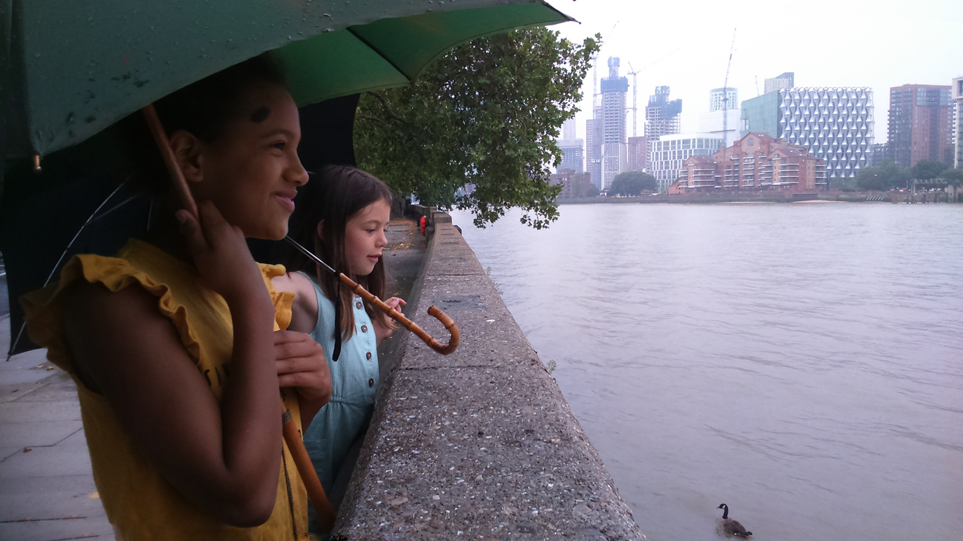 battersea reach